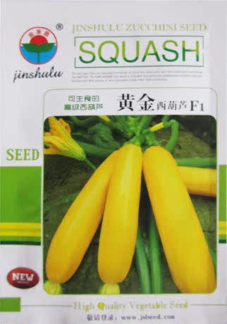 新奇特蔬菜种子-黄色金冠西葫芦籽-庭院阳台盆