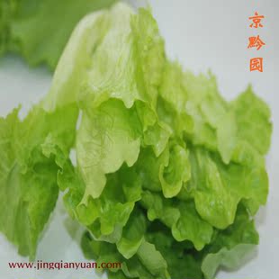  【京黔园】绿色食品优质蔬菜 生菜 北京买菜当天送到家