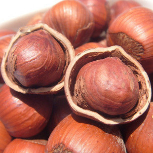  香脆可口又好剥 美国开口榛子500克 香脆有营养 超好吃