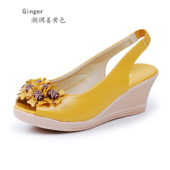 足金<em>芒果女鞋</em>