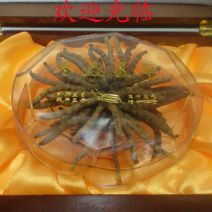  【假一罚三】正品西藏那曲冬虫夏草 10g精品包装礼盒 送礼不可少