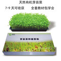 芽苗菜种植套装 芽苗盘 种子 全套教材 易学易种 有机蔬菜...