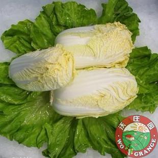  好评如潮无公害高山娃娃菜1袋,新鲜蔬菜，营养丰富今日秒杀菜市场
