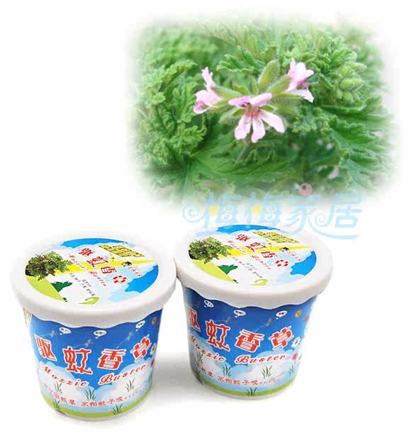 金冠 盆式精装驱蚊草 DIY盆栽 驱蚊花草 驱蚊香草 绿色环保[FQ31]