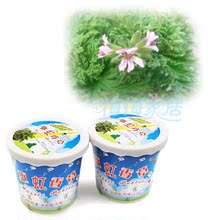 清仓 盆式精装驱蚊草 DIY盆栽 驱蚊花草 驱蚊香草 绿色环保[FQ31]