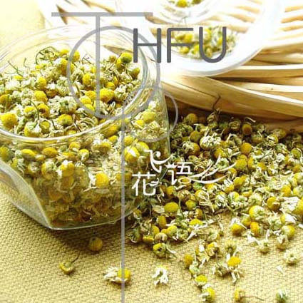 纯正德国进口/洋甘菊/好品质/花飞语/花茶/花草茶50g