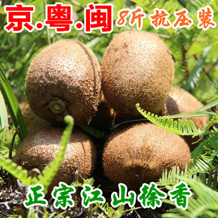  正宗江山徐香猕猴桃 新鲜水果奇异果 精选特大果8斤套网袋送礼盒