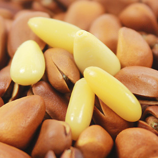  休闲坚果零食 开口松子 东北野生松子 精品包装 250克称重