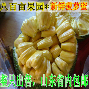  热带水果 菠萝蜜 木菠萝进口菠萝果 树菠萝一个20斤左右