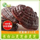 taobao english 3484156664
