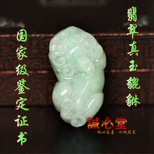 �����ÿ�����Ȼ�����������׹��׹�Ҽ��в�/�����A��֤��������