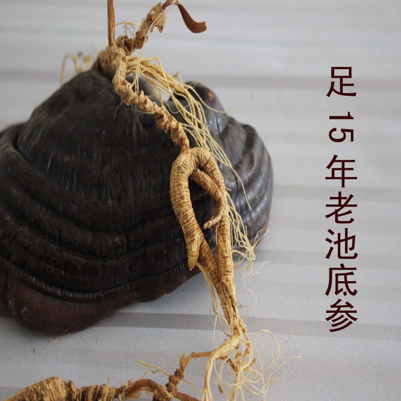 長白山人參林下參斷肢殘肢 野山參 足15年老池底參 特價促銷在類目 傳統滋補營養品, 參類滋補品, 人蔘/園參中 - 來自Buy2taobao.com提供專業的淘寶代購服務