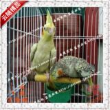 taobao english 7403754683