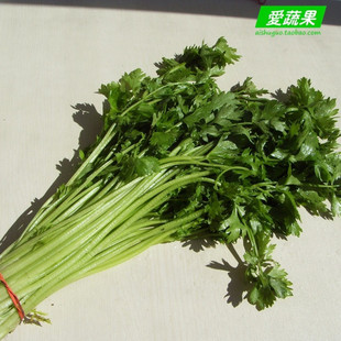  【爱蔬果】绿色食品新鲜蔬菜 小芹菜 香芹 北京买菜当天送到家