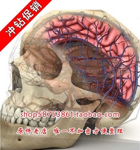 2012神经外科脑外科手术视频录像资料硬盘满