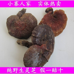  小寨人家 纯天然野生灵芝（带柄赤芝）野生赤芝 2件包邮买二送一