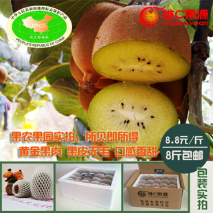  【预定秋季发货】猕猴桃 新鲜水果包邮 奇异果 黄肉 现摘鲜卖