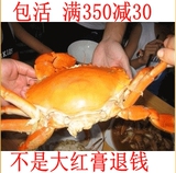 母亲节礼物 买2送1 三门青蟹 螃蟹 帝王蟹 海鲜鲜活3只2斤红膏蟹