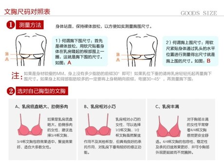 <em>文胸</em> 内裤 塑身衣 塑裤 腰背夹 国际<em>标准尺码</em>表