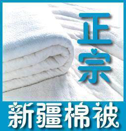 2011年新棉-纯棉新疆棉被-秋冬单人被双人被子被芯-农场直送包邮