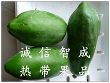 广西特产 <span class=H>丰胸</span> 瘦身 美白 新鲜水果广西青木瓜 5斤装
