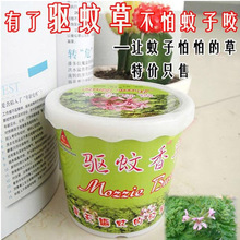 盆式精装驱蚊草
