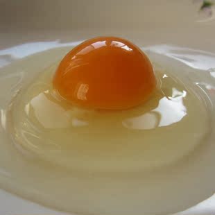  土鸡蛋 草鸡蛋 农家散养 林地散养 发当天新鲜鸡蛋 适合宝宝孕妇