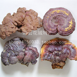  1斤包邮新货 云南野生特级 少虫眼正品赤灵芝250g10-13cm 可包退