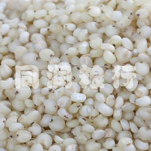  年新货 高粱米 粗粮 杂粮 精选高粱 500g 无锡同润粮行