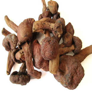  北域珍奇 东北野生红蘑菇干货 正宗松伞蘑菇 野生蘑菇干200g