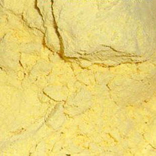  12年新玉米 农家自磨 玉米面粉 棒子面 玉米面500g 有机五谷杂粮
