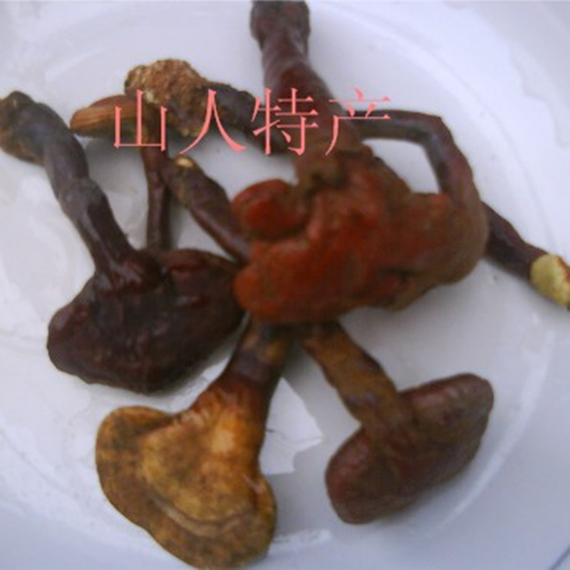 皇冠促銷 湖北特産 野生靈芝 長腿小赤靈芝 胎靈芝250g在類目 傳統滋補營養品, 靈芝, 整枝靈芝中 - 來自Buy2taobao.com提供專業的淘寶代購服務
