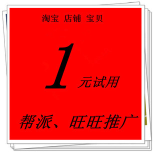 淘宝店铺网店宝贝包月推广服务 无效退款 淘宝帮派推广 真实IP