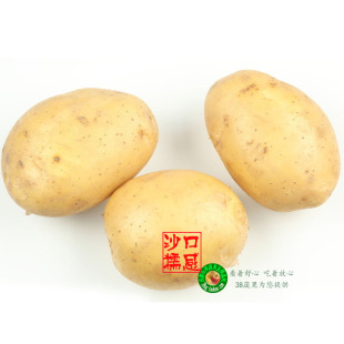  黄心洋芋 土豆 马铃薯 四川成都新鲜蔬菜 同城配送 满38包邮