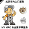 上下架计划:武汉实体店DIY整机 笔记本 MAC OS mini lion 黑苹果系统安装U盘