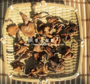  草蘑 野生蘑菇 食用菌 干货 大兴安岭蘑菇干 东北蘑菇特产 好吃