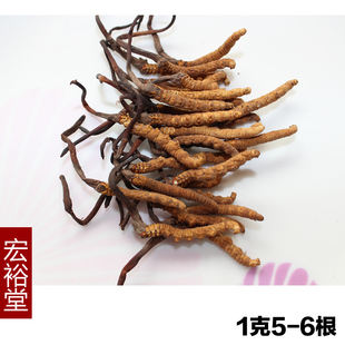  宏裕堂 冬虫夏草 玉树野生虫草 特级冬虫夏草 同仁堂品质5-6根/克