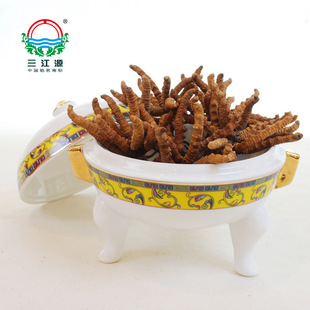  三江源牌青海冬虫夏草产地直销 顶级虫草尚品 送礼盒产地正品包邮