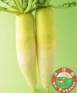  有机种植白萝卜500克，新鲜蔬菜，香嫩可口，今日秒杀菜市场超市