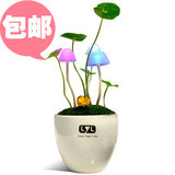taobao english 10594787458