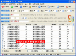 公司取名软件 / 公司起名软件 (官方正版)