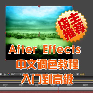 ffects 中文调色教程 入门到高级 AE调色教学-淘