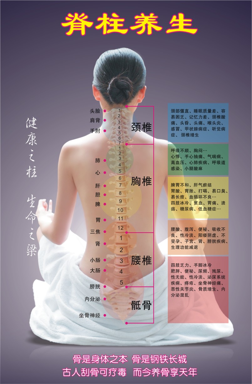 美容院养生馆展板海报宣传画挂图PP脊柱养生60cmx90cm写真图在类目 个性定制/设计服务/DIY, 日用/装饰定制, 写真/海报印制中 - 来自Buy2taobao.com提供专业的淘宝代购服务