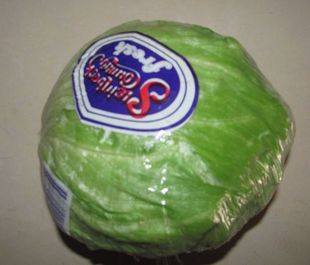  新鲜蔬菜 球生菜 西生菜 西餐配料 8.5元一颗 汉堡必备