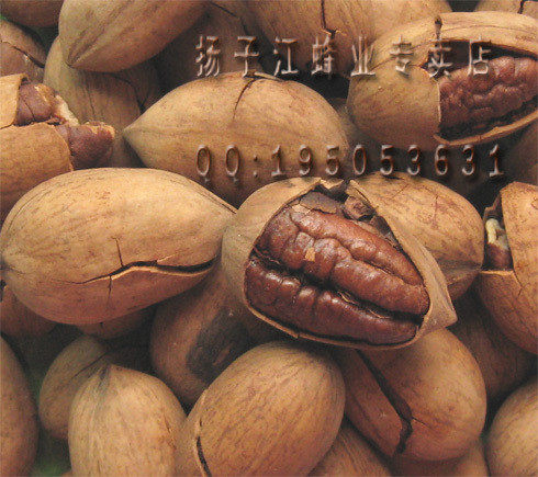 11新品！只做品质!/(美国核桃)碧根果(散)500G 奶香 特级大圆果