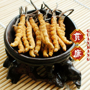  【贯康】冬虫夏草 正宗西藏那曲 精选级 虫草 4条/克礼盒 500减50