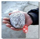 taobao english 13188027066