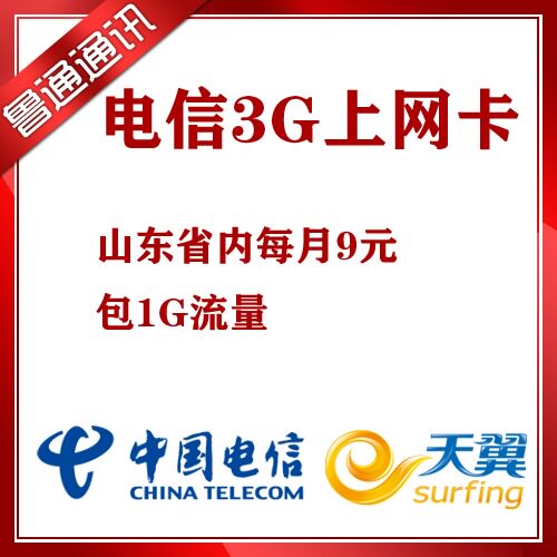 电信 天翼3G无线 上网卡 资费卡 流量卡 山东省每月9元包1G