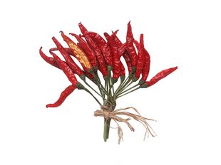  天地生精品蔬菜 红朝天干椒500g 北京满百包邮