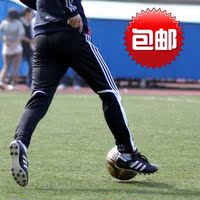 ȫ������ ��Ʒϵ�� רҵ�����ѵ���� ���ȿ� ��С��С�ſ� �˶�